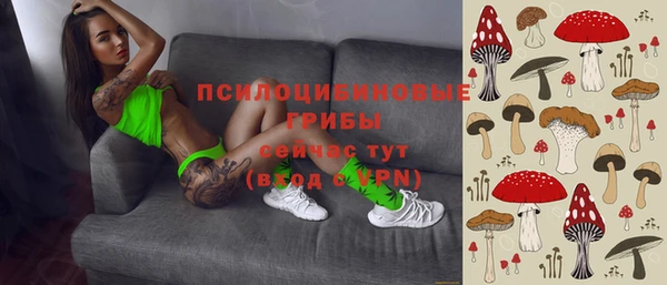 не бодяженный Алзамай