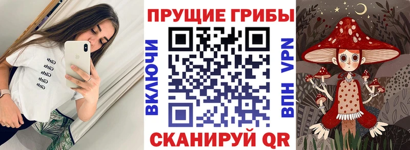 darknet наркотические препараты  что такое наркотик  Сенгилей  Псилоцибиновые грибы Magic Shrooms 